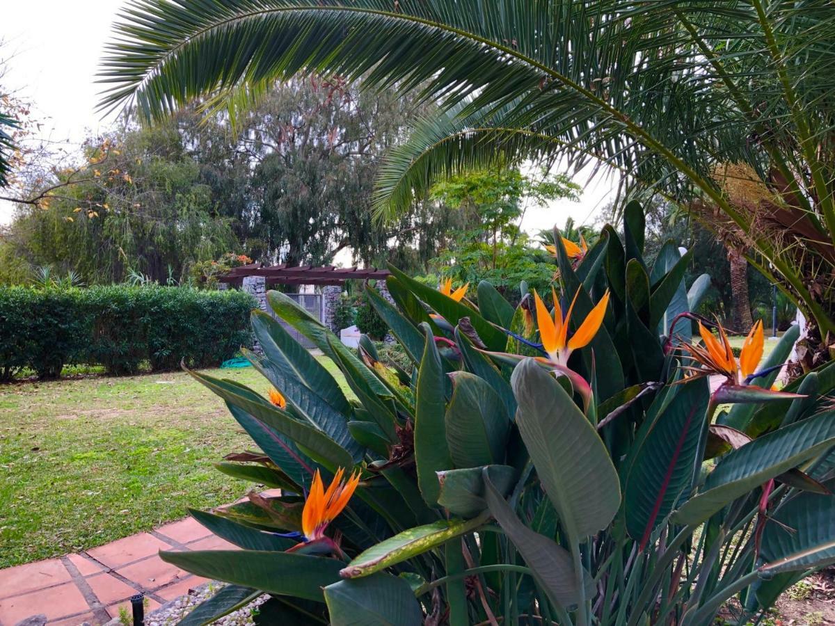 Puerto Banus Apartamento Flores Μαρμπέλλα Εξωτερικό φωτογραφία